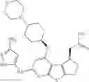 Fig. 218 - IRAK INHIBITORS AND USES THEREOF