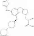 Fig. 238 - IRAK INHIBITORS AND USES THEREOF