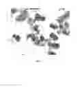 Fig. 05 - Purification of rapamycin derivatives using temperature induced phase separation