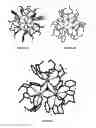 Fig. 03 - LANTHANIDE CLUSTERS AND METHODS OF USE THEREOF