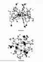 Fig. 04 - LANTHANIDE CLUSTERS AND METHODS OF USE THEREOF