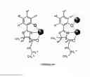 Fig. 06 - LANTHANIDE CLUSTERS AND METHODS OF USE THEREOF