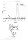 Fig. 16 - LANTHANIDE CLUSTERS AND METHODS OF USE THEREOF