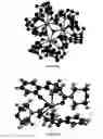 Fig. 22 - LANTHANIDE CLUSTERS AND METHODS OF USE THEREOF