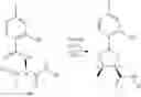 Fig. 30 - LANTHANIDE CLUSTERS AND METHODS OF USE THEREOF
