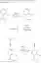 Fig. 31 - LANTHANIDE CLUSTERS AND METHODS OF USE THEREOF