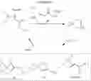 Fig. 14 - dppf-like compounds and method of manufacture and use