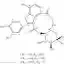 Fig. 29 - Anti-cancer compounds from invasive salvinias and methods of treating cancer