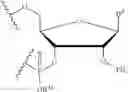 Fig. 12 - Protected monomer and method of final deprotection for RNA synthesis