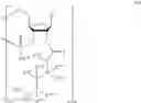Fig. 48 - Protected monomer and method of final deprotection for RNA synthesis