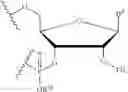 Fig. 88 - Protected monomer and method of final deprotection for RNA synthesis