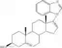 Fig. 26 - NOVEL COMPOSITIONS AND METHODS FOR TREATING PROSTATE CANCER