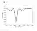 Fig. 13 - THERAPEUTIC PROTEIN COMPOSITIONS HAVING REDUCED IMMUNOGENICITY AND/OR IMPROVED EFFICACY