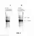 Fig. 07 - High pH protein refolding methods