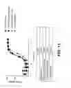 Fig. 15 - High pH protein refolding methods