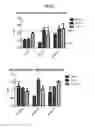 Fig. 03 - Methods for the treatment of mitochondrial diseases associated with a mutation in or gene resulting in a disruption of mitochondrial oxidative phosphorylation