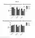 Fig. 08 - Methods for the treatment of mitochondrial diseases associated with a mutation in or gene resulting in a disruption of mitochondrial oxidative phosphorylation