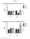 Fig. 12 - Methods for the treatment of mitochondrial diseases associated with a mutation in or gene resulting in a disruption of mitochondrial oxidative phosphorylation
