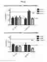 Fig. 13 - Methods for the treatment of mitochondrial diseases associated with a mutation in or gene resulting in a disruption of mitochondrial oxidative phosphorylation