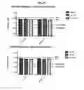 Fig. 15 - Methods for the treatment of mitochondrial diseases associated with a mutation in or gene resulting in a disruption of mitochondrial oxidative phosphorylation