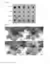 Fig. 08 - THERAPEUTIC AGENTS