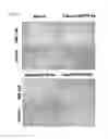 Fig. 16 - THERAPEUTIC AGENTS