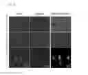 Fig. 18 - THERAPEUTIC AGENTS
