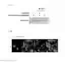 Fig. 22 - THERAPEUTIC AGENTS