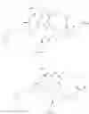 Fig. 10 - Amatoxin derivatives