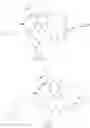 Fig. 12 - Amatoxin derivatives