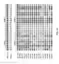 Fig. 02 - Mutant proteins and genes encoding the same with improved insecticidal activity and use thereof