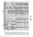 Fig. 03 - Mutant proteins and genes encoding the same with improved insecticidal activity and use thereof