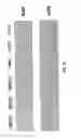 Fig. 28 - Treating human immunodeficiency virus infections