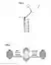 Fig. 03 - Artificial bioparticle and method of manufacturing the same