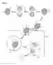 Fig. 04 - Artificial bioparticle and method of manufacturing the same