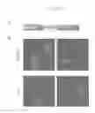 Fig. 10 - FUSION PROTEINS AND METHODS FOR IDENTIFYING BROMODOMAIN INHIBITING COMPOUNDS