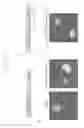 Fig. 13 - FUSION PROTEINS AND METHODS FOR IDENTIFYING BROMODOMAIN INHIBITING COMPOUNDS