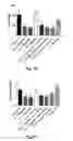 Fig. 07 - Novel Glucagon Analogues