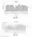 Fig. 08 - Novel Glucagon Analogues