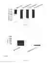 Fig. 02 - Methods for treating or reducing liver diseases by administering oral composition comprising TNF receptor fusion proteins