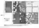 Fig. 13 - SERPINS: METHODS OF THERAPEUTIC BETA-CELL REGENERATION AND FUNCTION