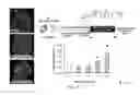 Fig. 20 - SERPINS: METHODS OF THERAPEUTIC BETA-CELL REGENERATION AND FUNCTION