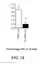 Fig. 27 - SERPINS: METHODS OF THERAPEUTIC BETA-CELL REGENERATION AND FUNCTION