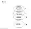 Fig. 02 - HUMAN BINDING MOLECULES CAPABLE OF BINDING TO AND NEUTRALIZING INFLUENZA B VIRUSES AND USES THEREOF