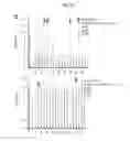 Fig. 04 - Antibodies against TM4SF5 and methods of use thereof