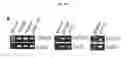 Fig. 12 - Antibodies against TM4SF5 and methods of use thereof