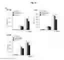 Fig. 14 - Antibodies against TM4SF5 and methods of use thereof