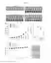 Fig. 22 - Antibodies against TM4SF5 and methods of use thereof
