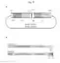 Fig. 26 - Antibodies against TM4SF5 and methods of use thereof