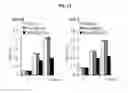 Fig. 32 - Antibodies against TM4SF5 and methods of use thereof